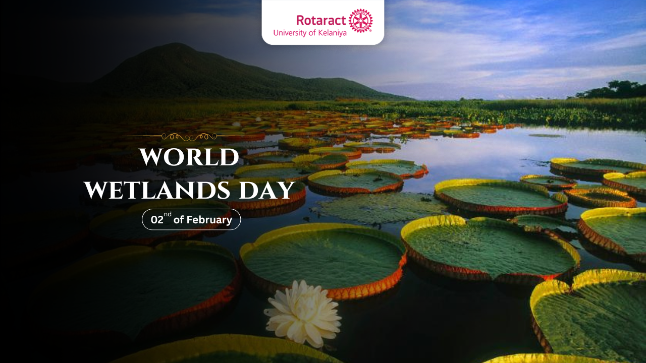 Celebrating World Wetland Day: Why is this Unique Ecosystem Important