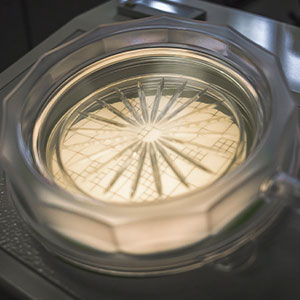Microbial Sampling Criteria – Particle Measurement System