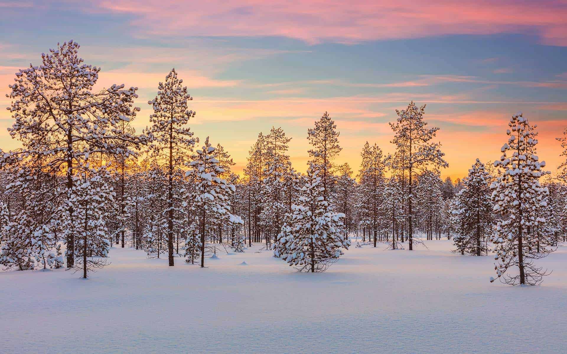 Morning Routine for the New Year That Actually Sticks