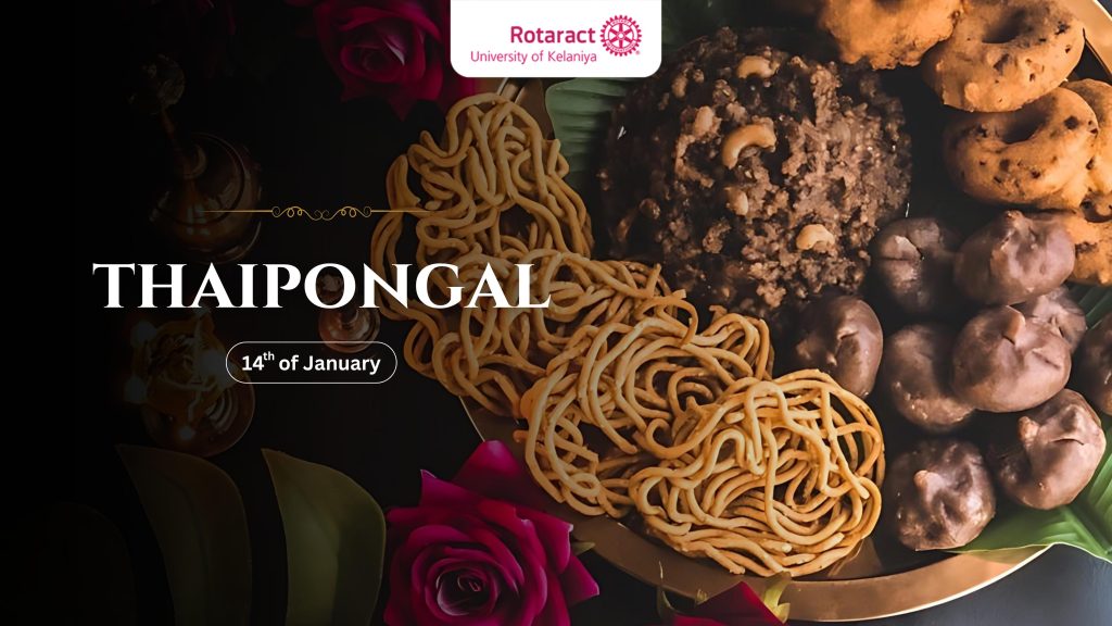 Thai Pongal – RACUOK Blog