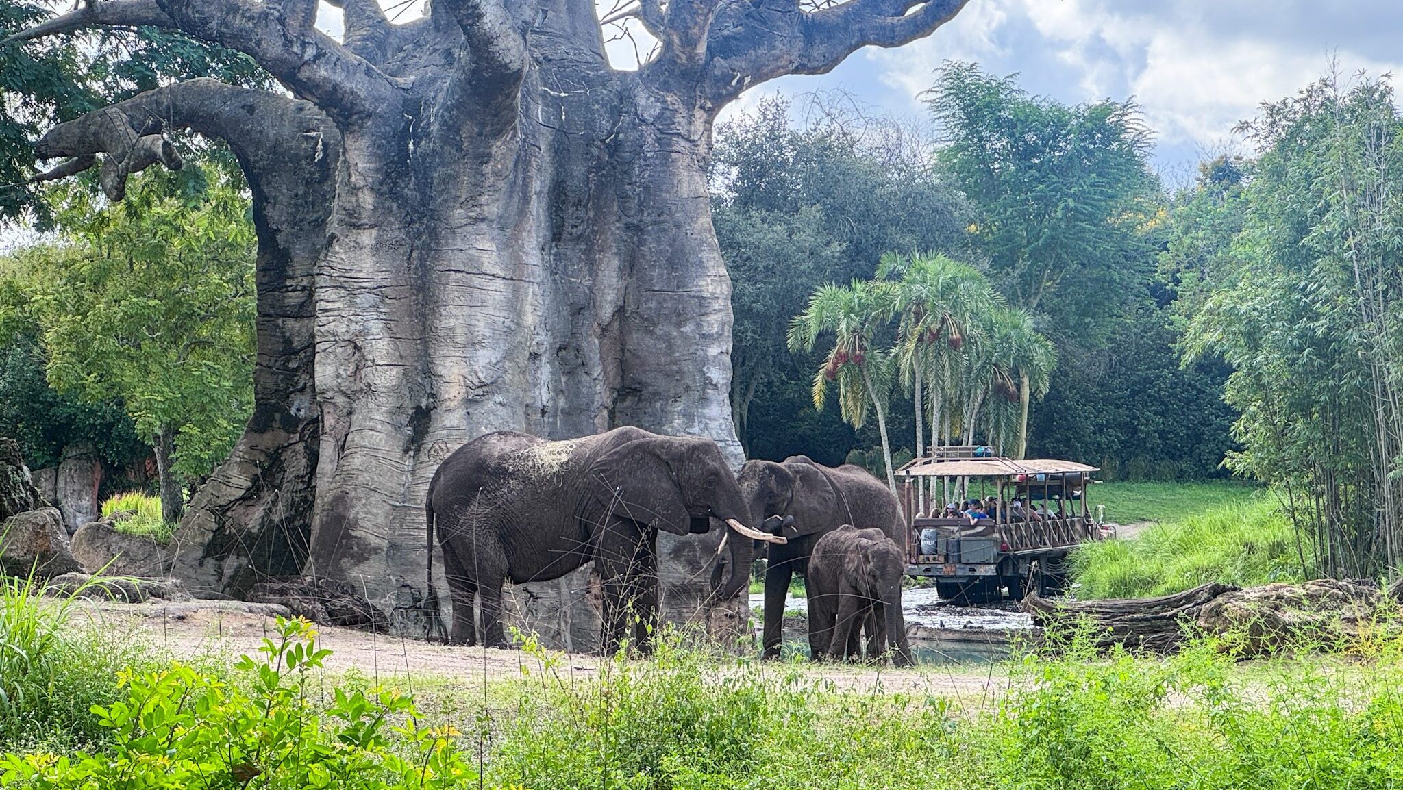 A park with purpose: 6 experiences that go beyond the rides at Disney’s Animal Kingdom